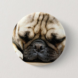 Pug puppy 2 inch round button