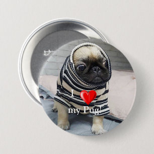 Pug Puppy 3 Inch Round Button