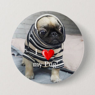 Pug Puppy 3 Inch Round Button