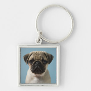 Pug Puppy Against Blue Background Keychain