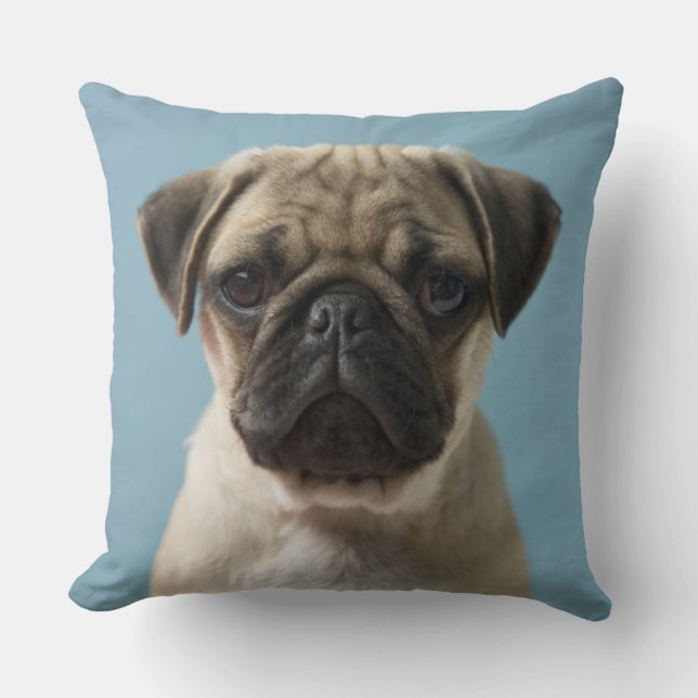 Pug Puppy Against Blue Background Throw Pillow (Front)