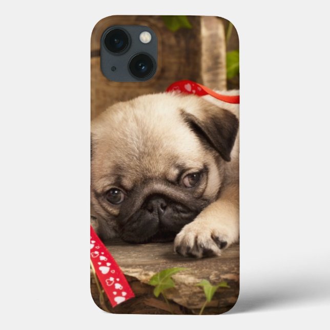 Pug Puppy and Gift  Box Case-Mate iPhone Case (Back)
