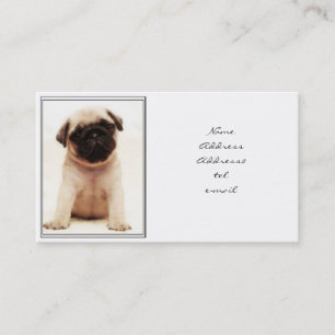 Pug puppy business card