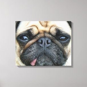 Pug Puppy Canvas Print