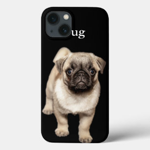 Pug Puppy iPhone 13 Case