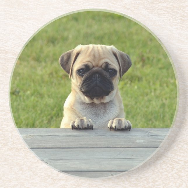 Pug Puppy Cute Photo Coaster (Front)