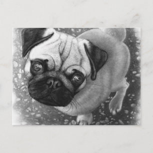 Pug Puppy Dog Art Postcard