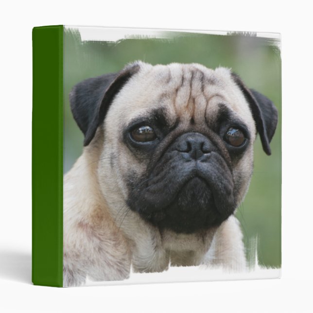 Pug Puppy Dog Binder (Front/Spine)