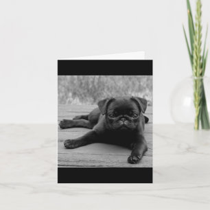 Pug Puppy Dog Black & White Blank  Note Card