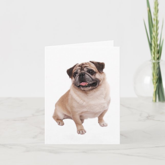 Pug Puppy Dog Blank Greeting  Note Card (Front)