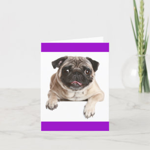 Pug Puppy Dog Blank Greeting Note Card