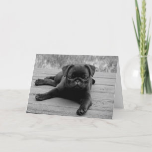 Pug Puppy Dog Blank Note Card