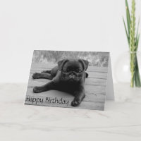 Pug Puppy Dog  Happy Birthday Card - Verse inside