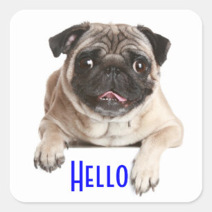 Pug Puppy Dog Hello Greeting Stickers