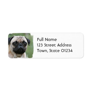 Pug Puppy Dog Mailing Label