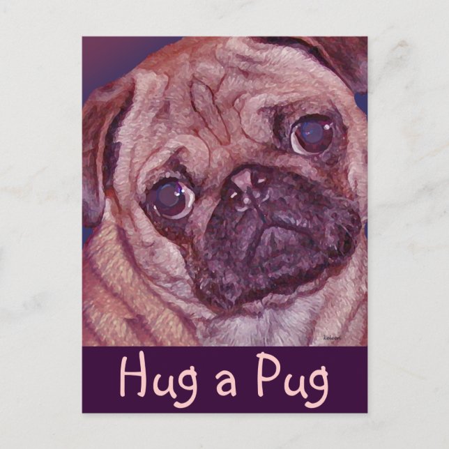 Pug Puppy Face Postcard (Front)