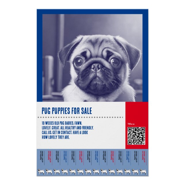 Pug puppy for sale flyer templates poster (Front)
