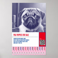 Pug puppy for sale flyer templates