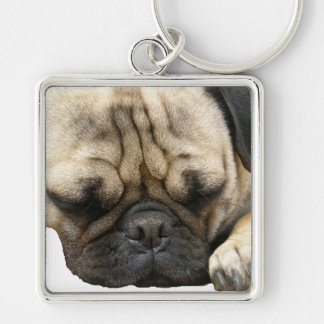 pug puppy keychain