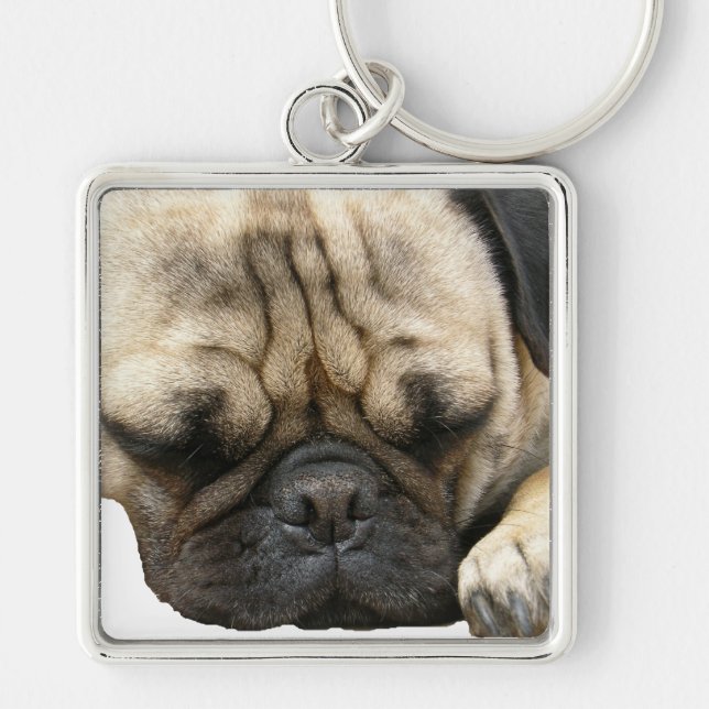 pug puppy keychain (Front)