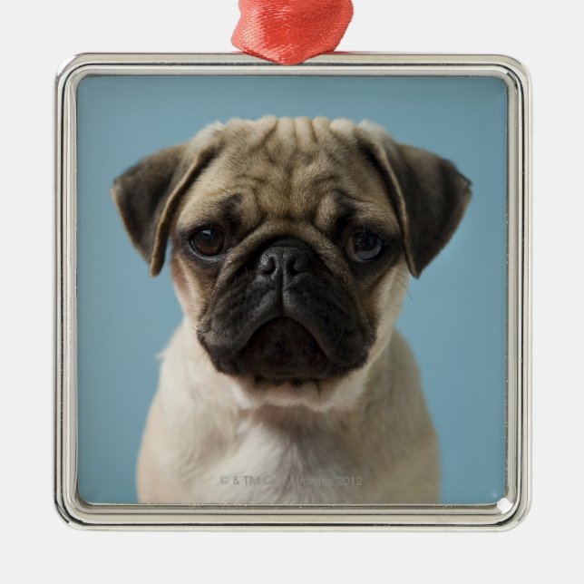 Pug Puppy Metal Ornament (Front)