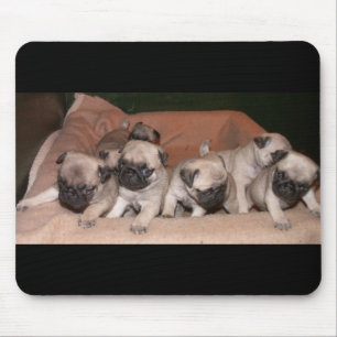 pug puppy mouse pad