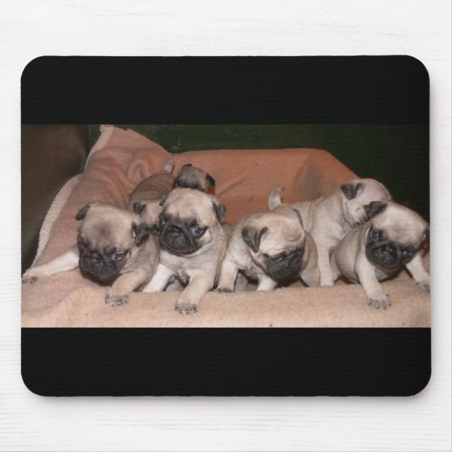 pug puppy mouse pad (Front)