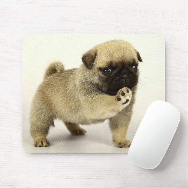 Pug Puppy Mouse Pad (With Mouse)