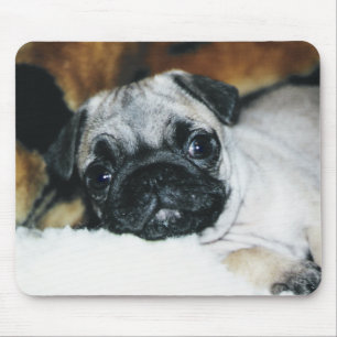Pug Puppy Mousepad