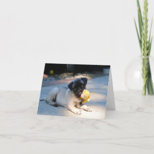 Pug Puppy Note Card