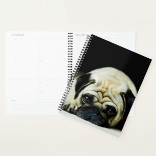 Pug Puppy Planner