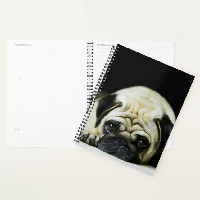 Pug Puppy Planner (Display)