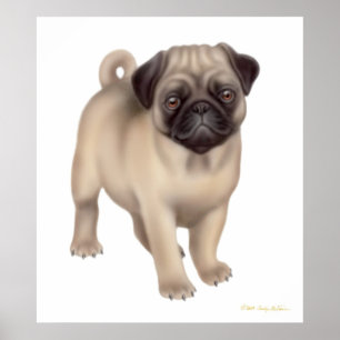 Pug Puppy Print