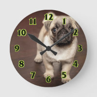 Pug Puppy