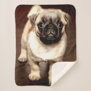 PUG PUPPY SHERPA BLANKET
