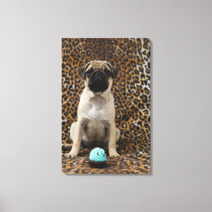 Pug puppy sitting against animal print 2