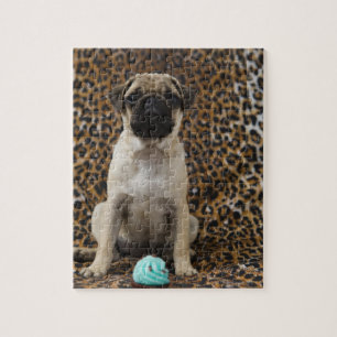 Pug puppy sitting against animal print 2 jigsaw puzzle