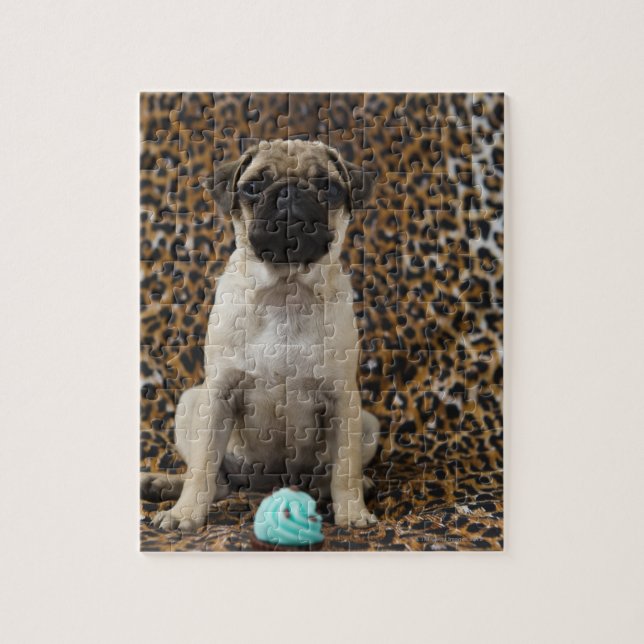 Pug puppy sitting against animal print 2 jigsaw puzzle (Vertical)