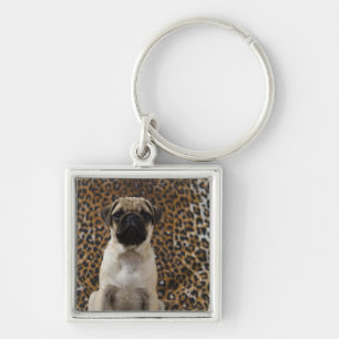 Pug puppy sitting against animal print 2 keychain