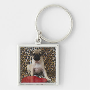 Pug puppy sitting against animal print keychain