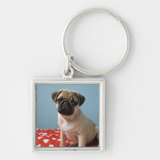 Pug puppy sitting on bed keychain (Front)