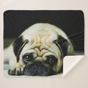 Pug Sherpa Blanket