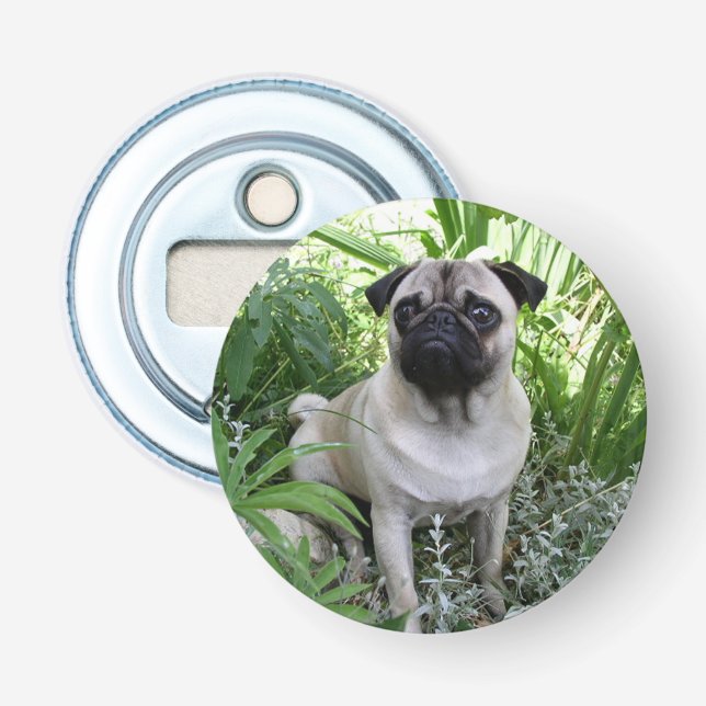pug sitting bottle opener (Front)