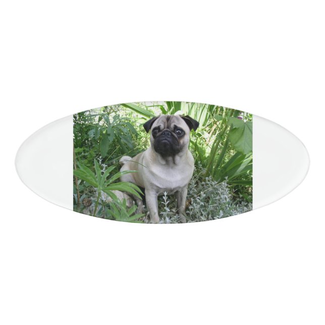 pug sitting name tag (Front)