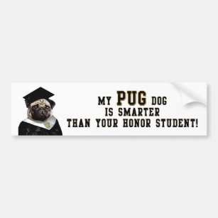 Pug smarter than honour student Bumper Sticker