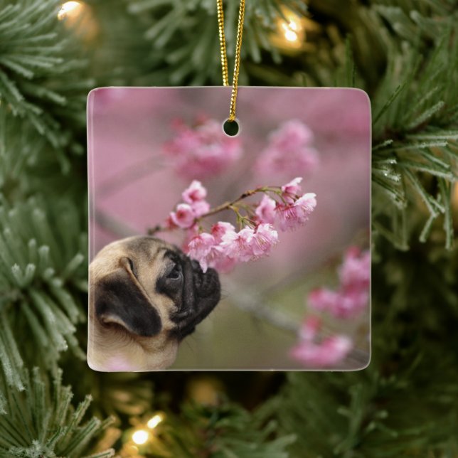 Pug Smelling Cherry Blossoms Ceramic Ornament (Tree)
