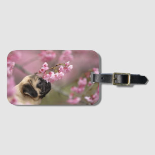 Pug Smelling Cherry Blossoms Luggage Tag