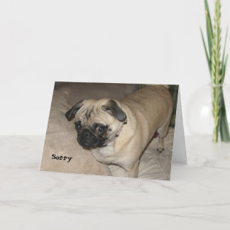 Pug - Sorry Card