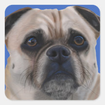 Pug stickers
