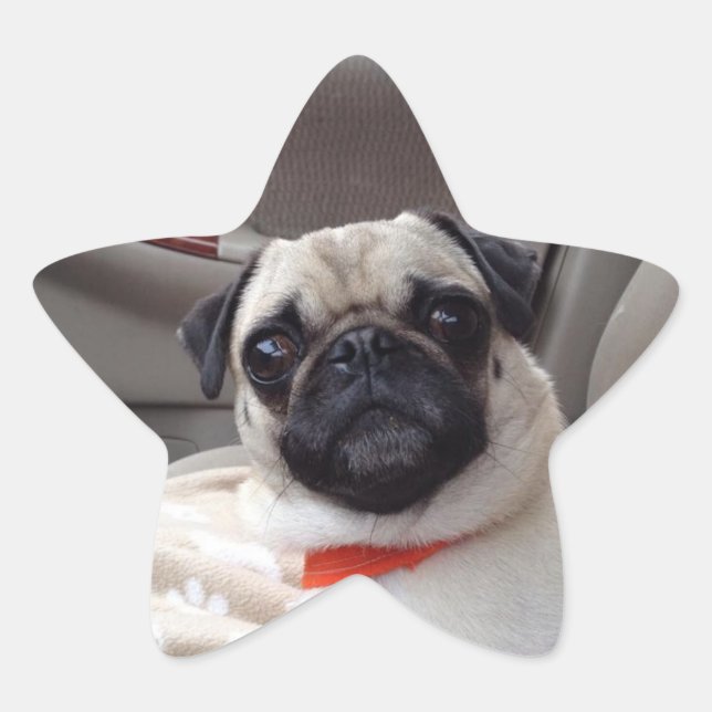 Pug Stickers (Front)